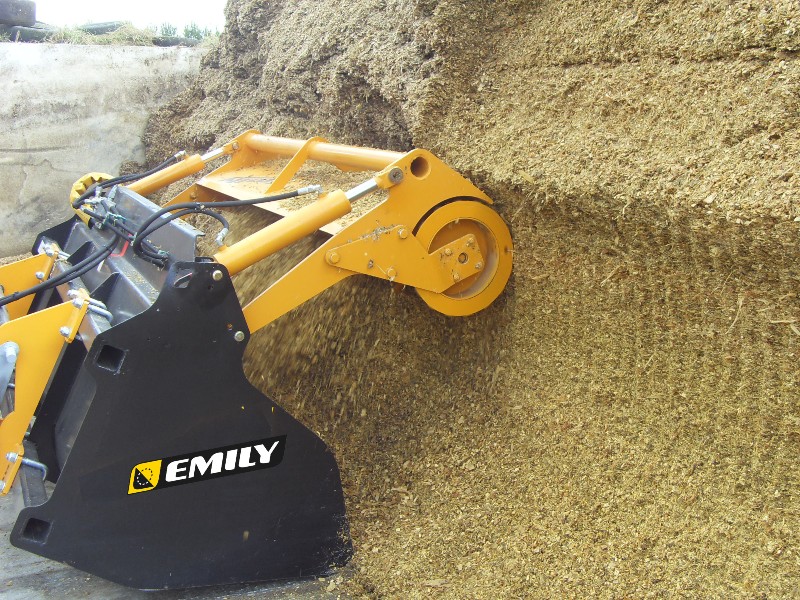 Emily agriculture